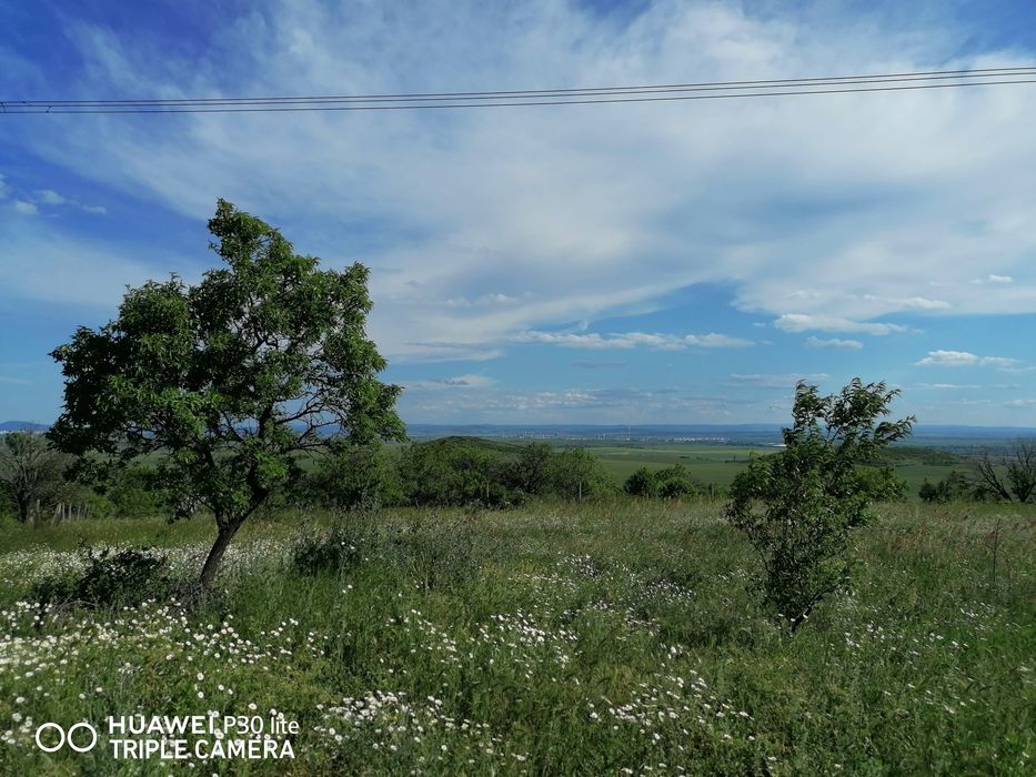 Продава се Парцел в Българово - 3000 кв.м за 6 €/кв.м - Снимка #2