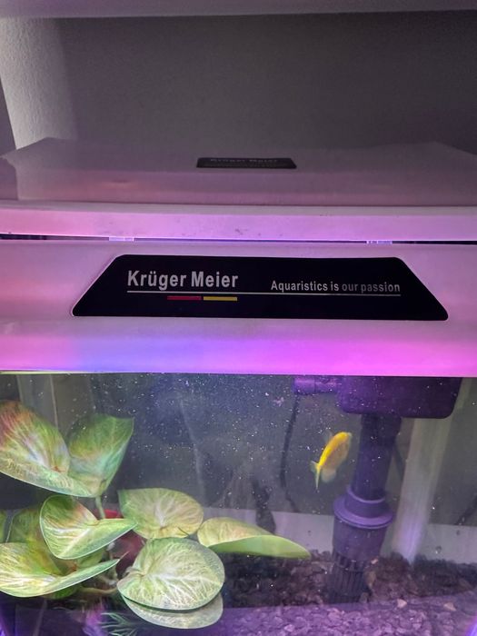 Vând acvariu german Kruger Meier de 7 litri.