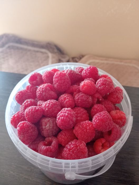 Продам дачную малину