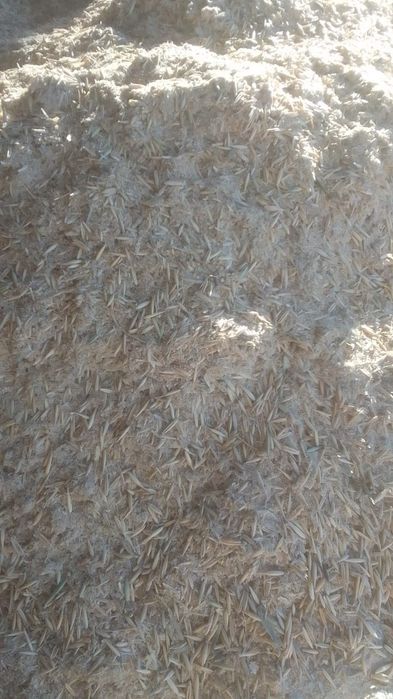 Отруби Отходы Зерноотходы полова