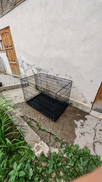 Клетка для собак