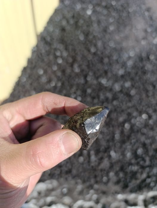 Шуборколь семачка