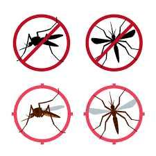 Dezinfeksiya Dizinfeksiya klapa Dizenfeksiya tarakan ilon chayon klopa