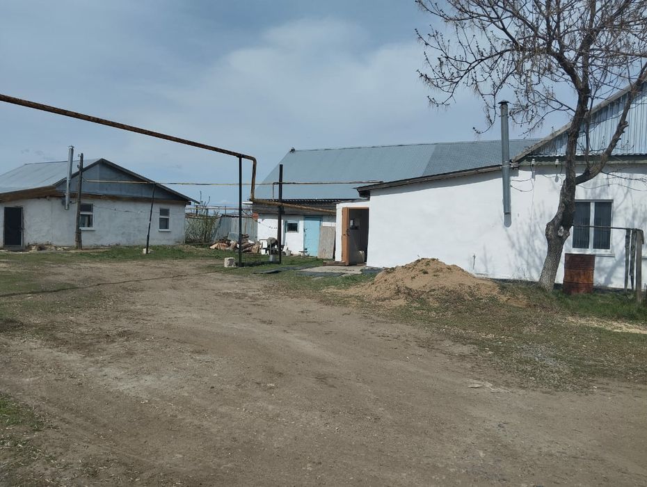 Два дома в одном дворе.