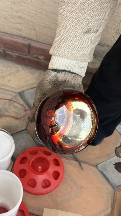 Инкубатор на 200 яиц