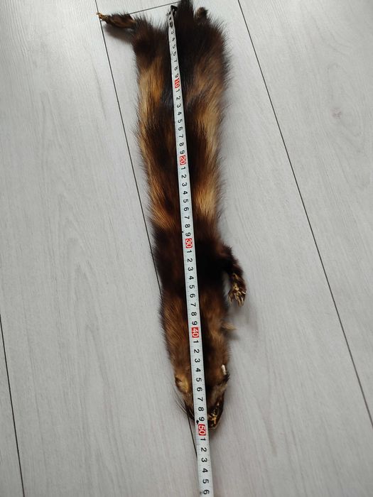 Естествена кожа от куница