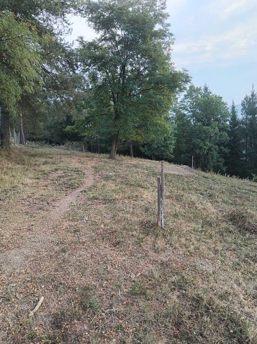 Teren intravilan zona turistică Toplița
