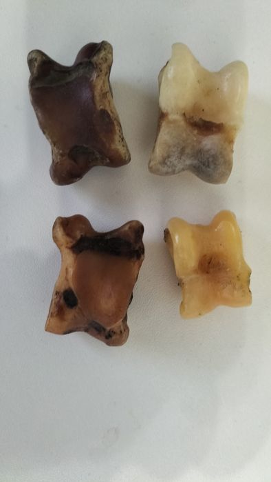 АСЫҚ 1000 теңгеден