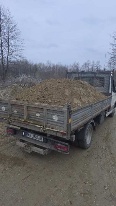 Pamant de gradina Chisai de gazon sau mranita