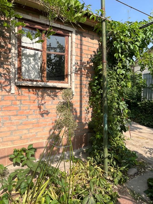 Дачный участок с домом