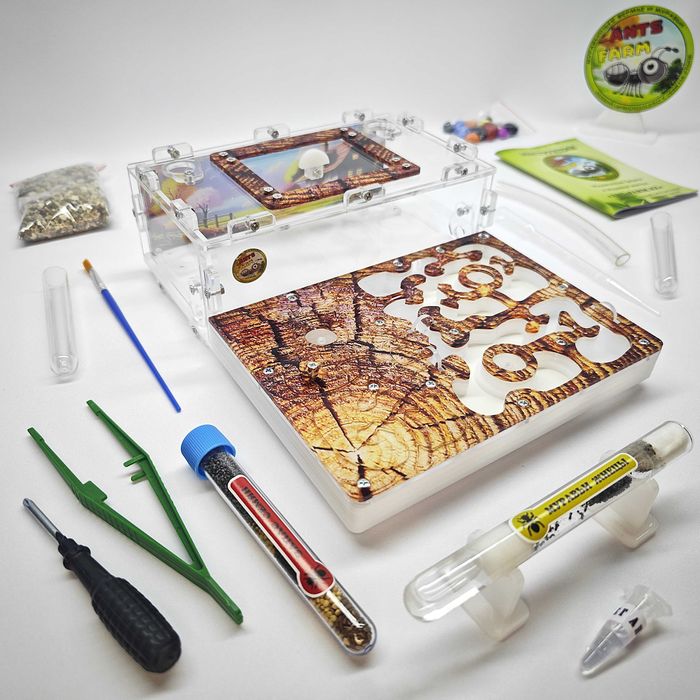 Муравьиная ферма - Муравьи жнецы ||| ГИПСОВЫЙ Формикарий "ADVANCED"