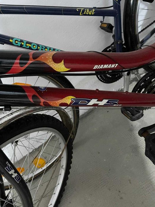 Bicicleta pentru adulti