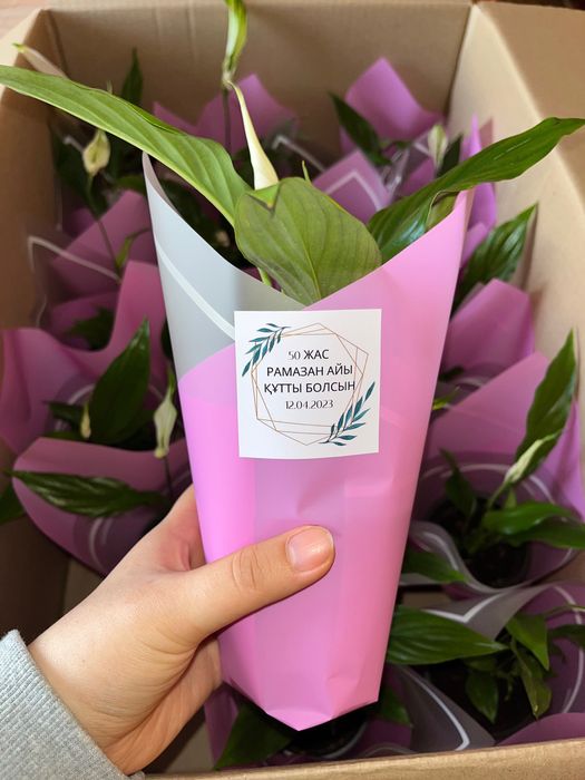 Цветы для Тойбастар/ Женское счастье