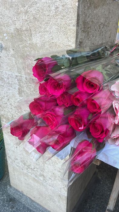 Тюльпаны, цветы, розы