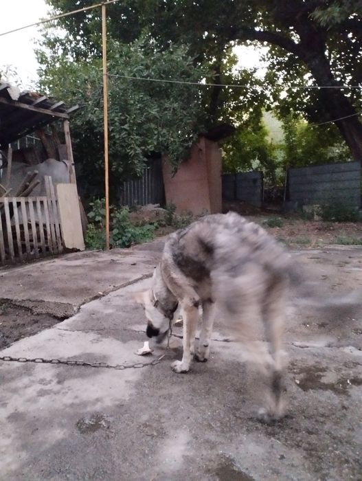 Ничего особенного
