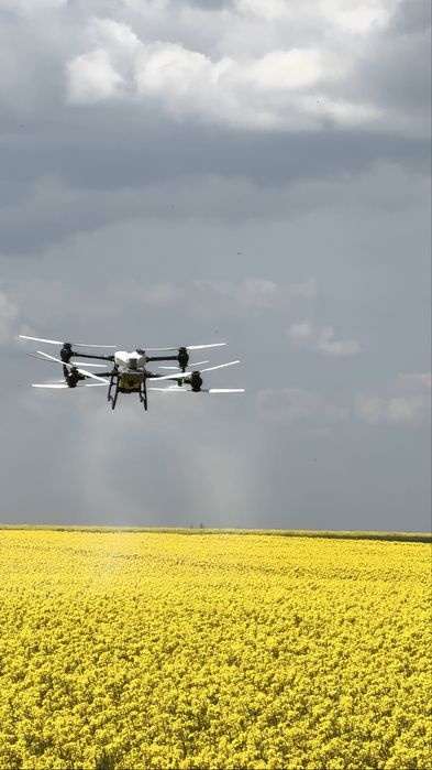 Prestez servicii cu drona agricola T50