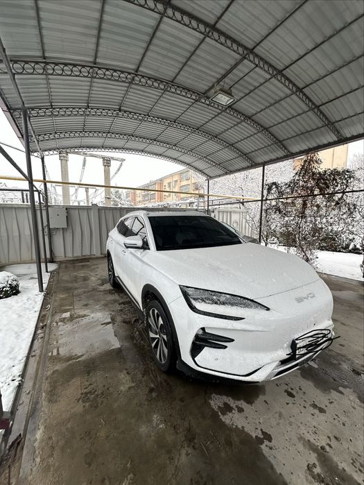 Byd champion продаётся