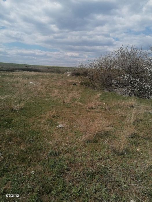 Vanzare teren 47.035mp - Comuna Plesoiu, Sat Arcesti
