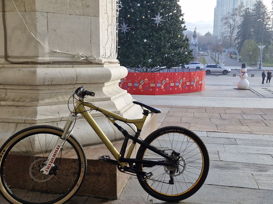 двухподвес bergamont evolve 4.8