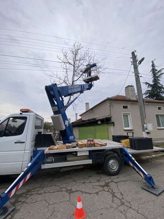 Рязане на опасни дървета