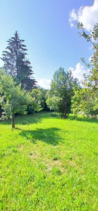 Persoana fizica vand teren cu utilitati in Rasca