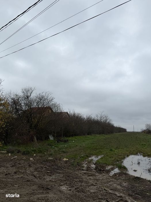 Vanzare teren intravilan 5014mp Afumati - Strada Sperantei