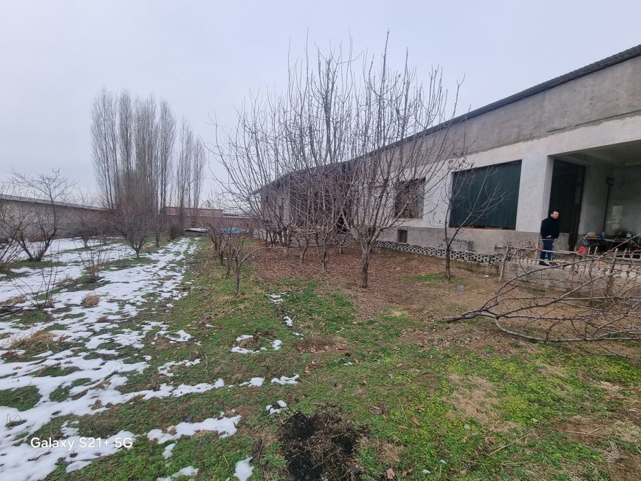 Уйсотилади курип сотадиганлага зор вариант