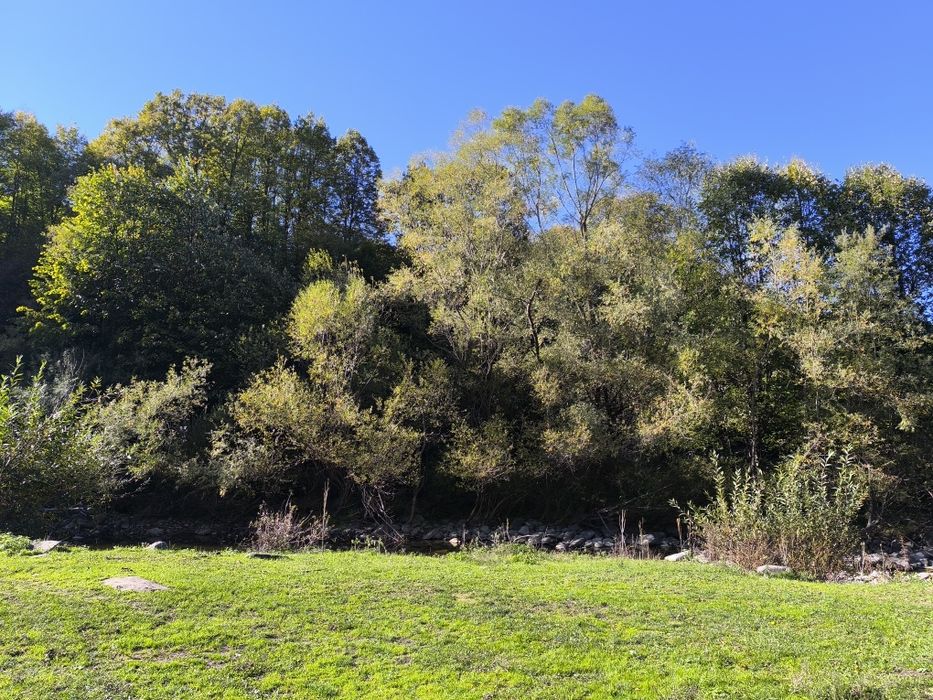 Продава се Парцел в с. Черни Осъм, Област Ловеч - 3150 кв.м за 3 €/кв.м - Снимка #8