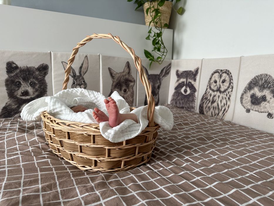 Современные бортики