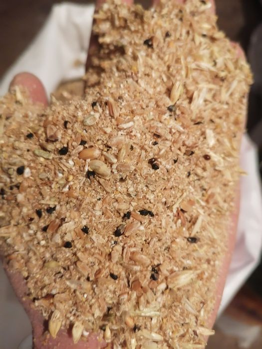 Bug'doy  sechka yemni udari