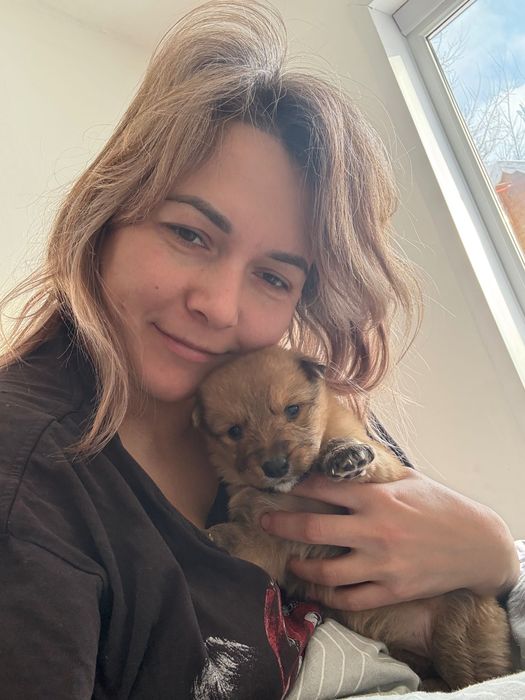 Милая девочка ищет дом