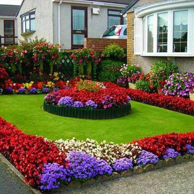 Искусственный газон | Sun'iy chim | iskustvenniy gazon | FF-1