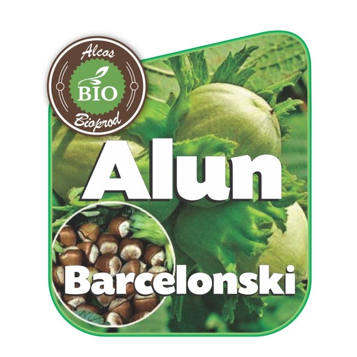 Alun Bacelonski..
