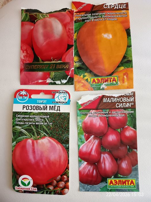 Продам рассаду помидор
