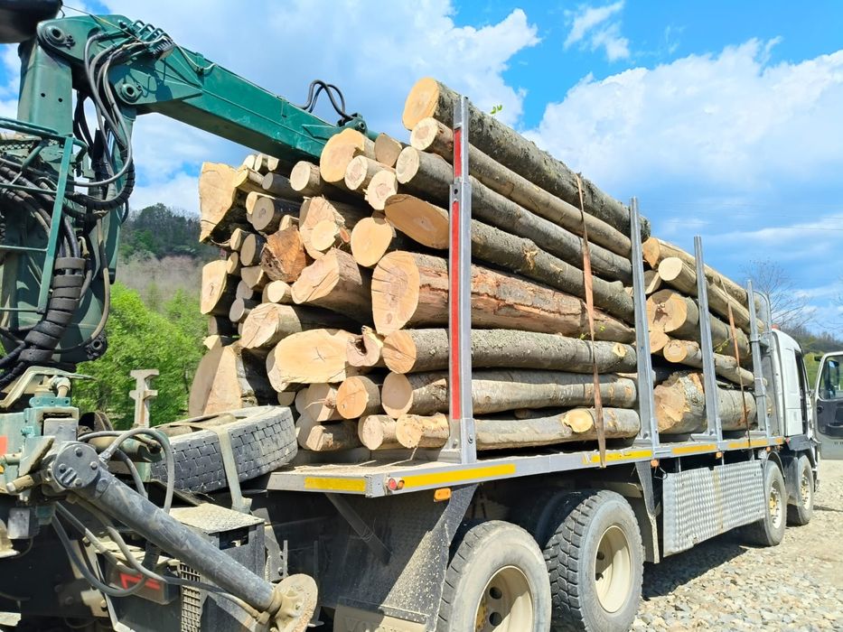 Lemn foc fag 430 mc transport inclus