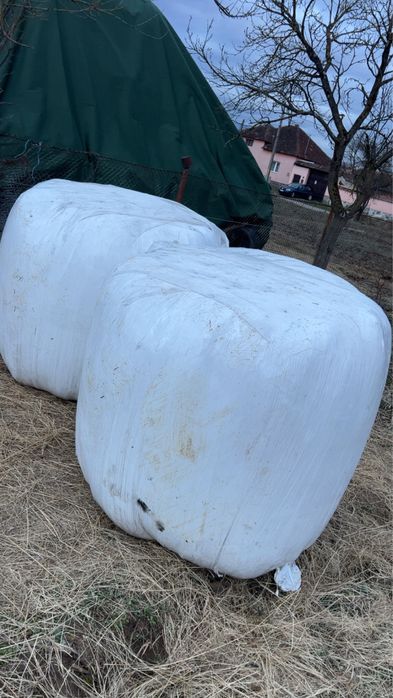 Vand 3 baloti de lucerna infoliata