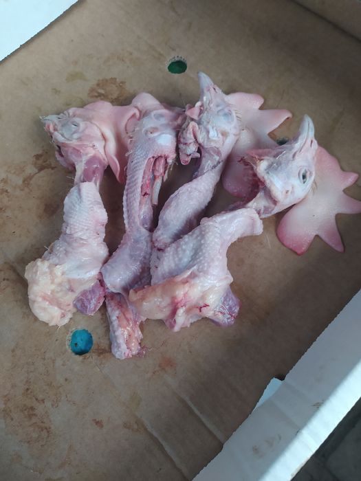 Продам корм для собак и кошек