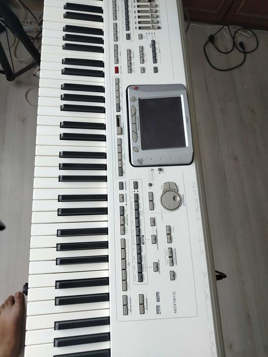 Orga electronică Pa 2