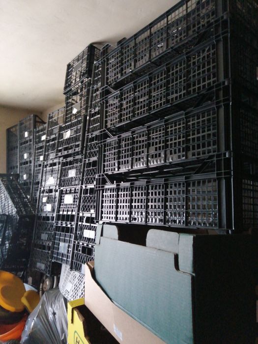 Baxuri banane lădițe plastic noi pentru fructe legume flori