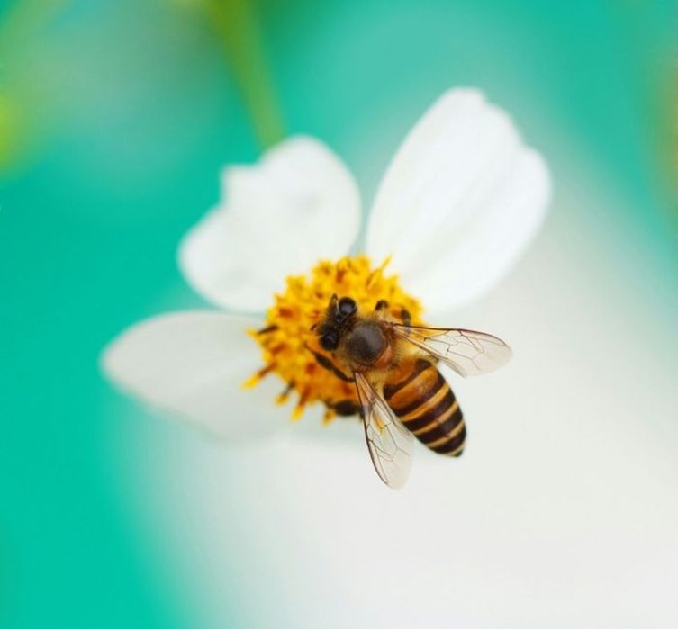 Vinil-uri diverse/se dau si toate negociat