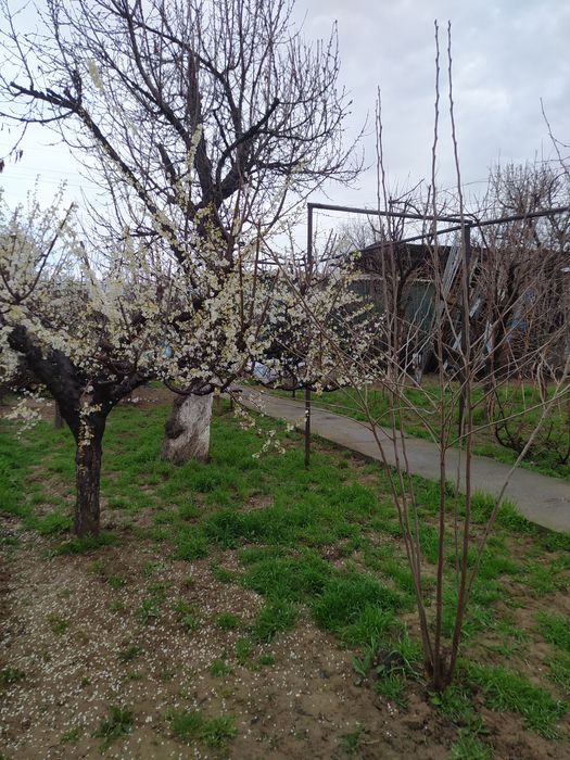 Продаётся дом в кибрайу часток 8 соток РайГаз Кибрай‼️