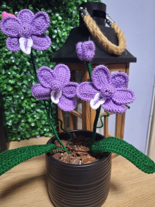 Неувяхващи орхидеи