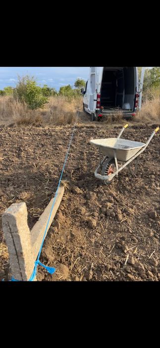 DE Vanzare tern steau de mare 2