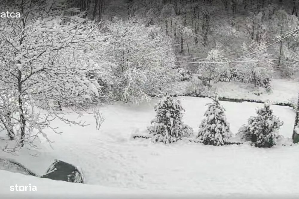 Cabana de vis in inima naturii – Valea Bratcutei, jud. Bihor