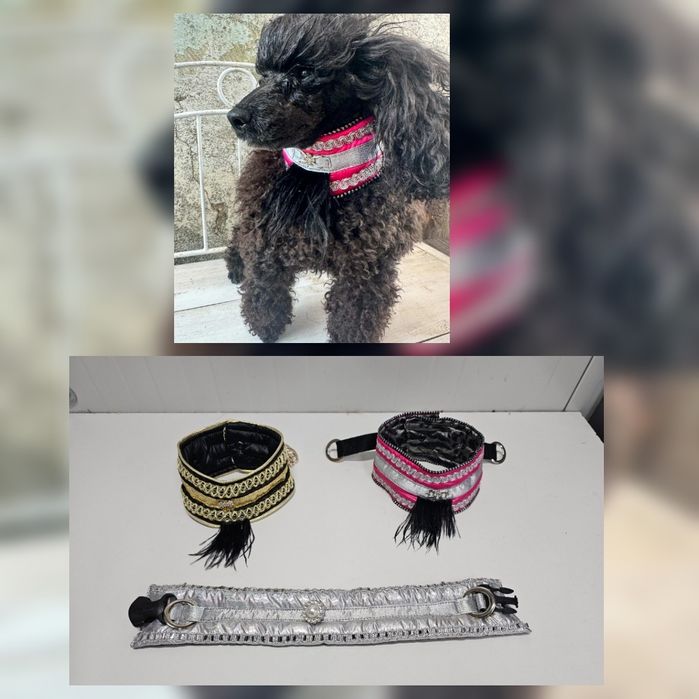 Гащеризон дъждобран, гети, нашийник