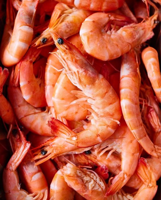 Крабы, раки г.Алматы