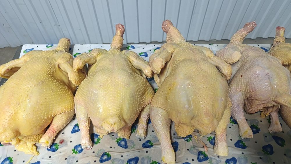 Куры бройлер тушки живыми