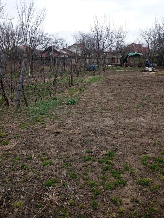 Teren intravilan, Săucești, centru.