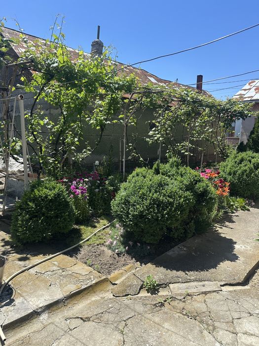 Vand casa + teren com Produlesti