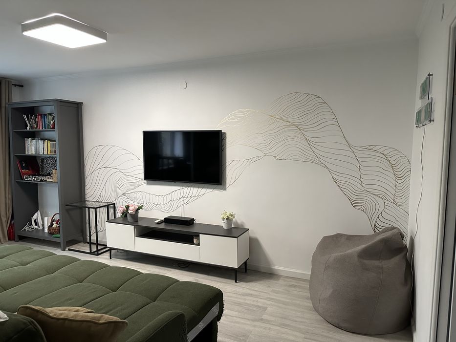 Художник Алматы,роспись стены, рисунок